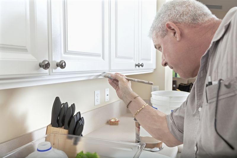Best Cabinet Refinishing Contractors in Cedar Hill, TX