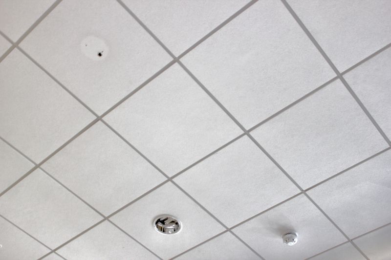 Ceiling Smoothing Service detail